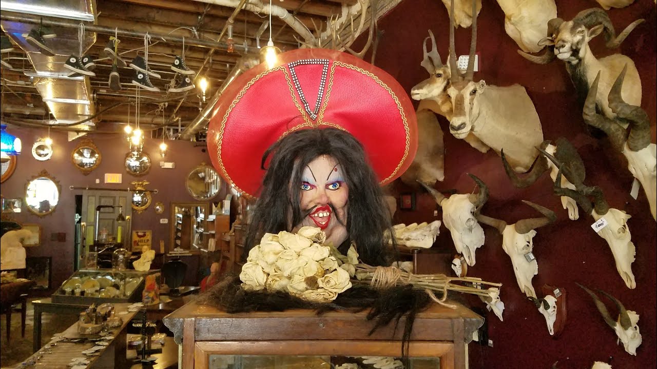 Dysfunctional Grace - Oddities Ybor City, Florida