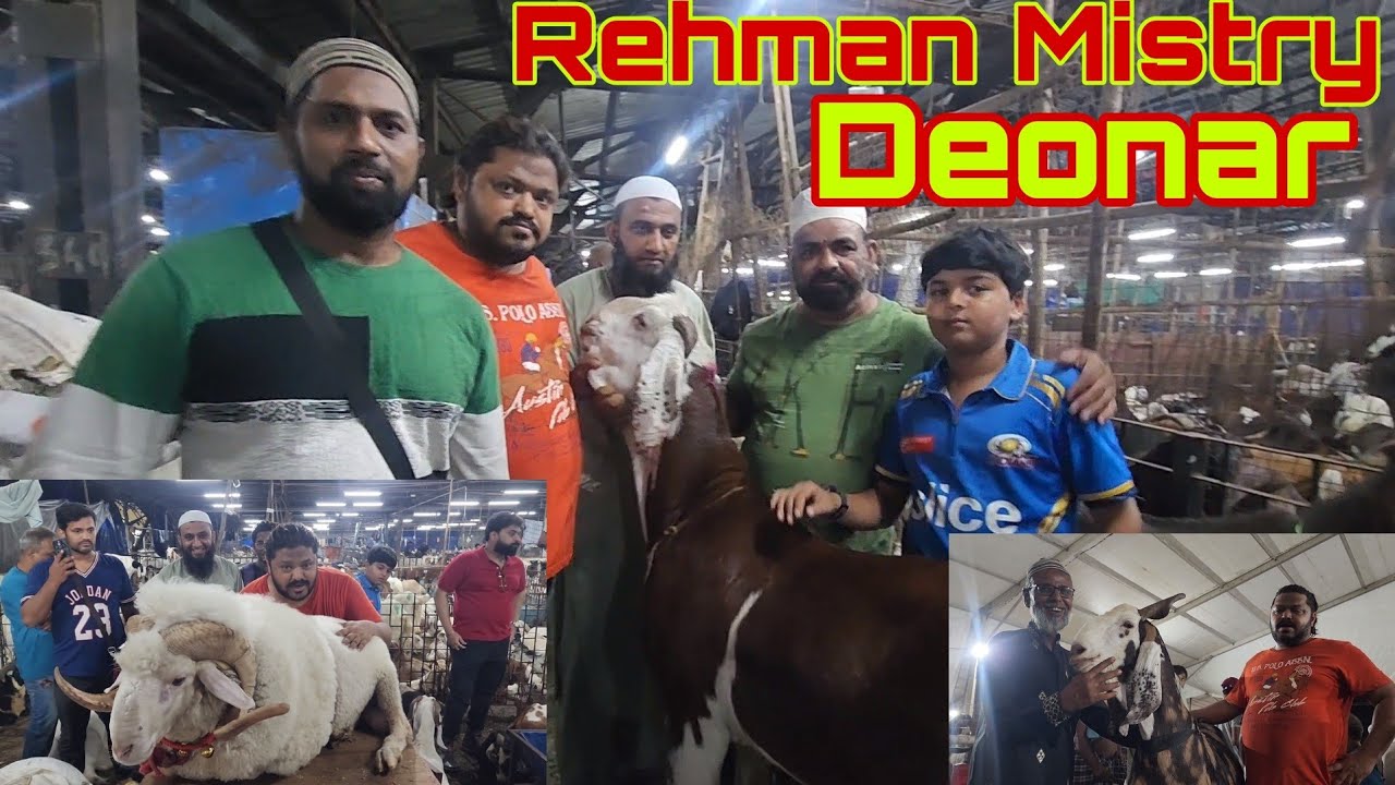 Deonar Bakra Mandi Main Rehman Mistry Ka Dhamaka | Mandi Sar Pe Uthali | ARMF In Deonar Mandi.
