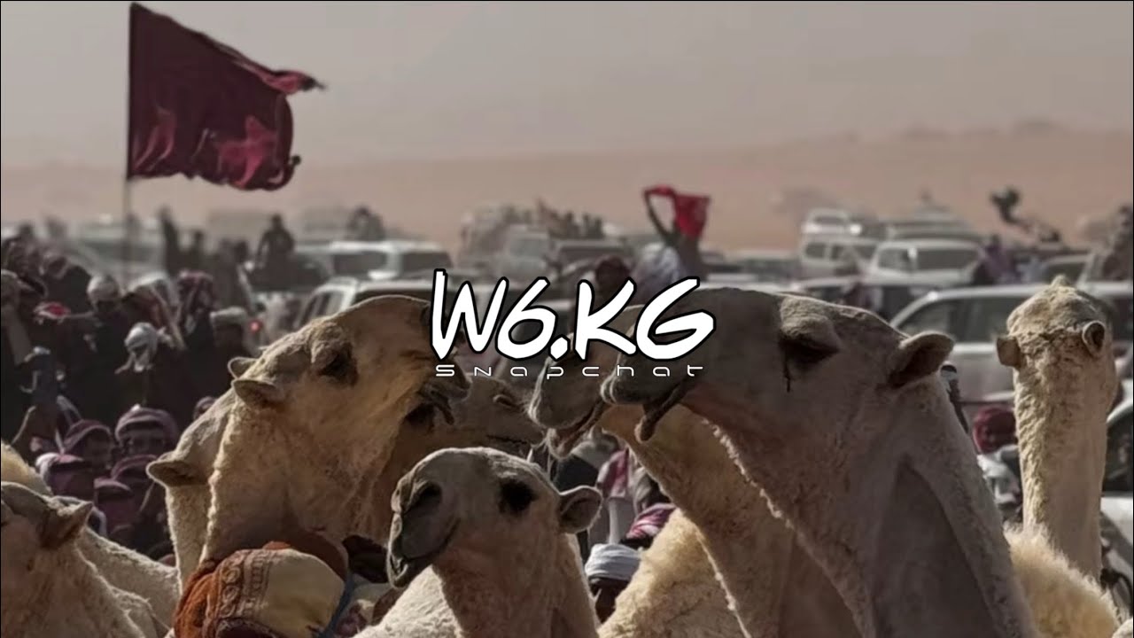 فيه ناس مستطيشه ومغروره 😎🔥 - الجفراني 2025