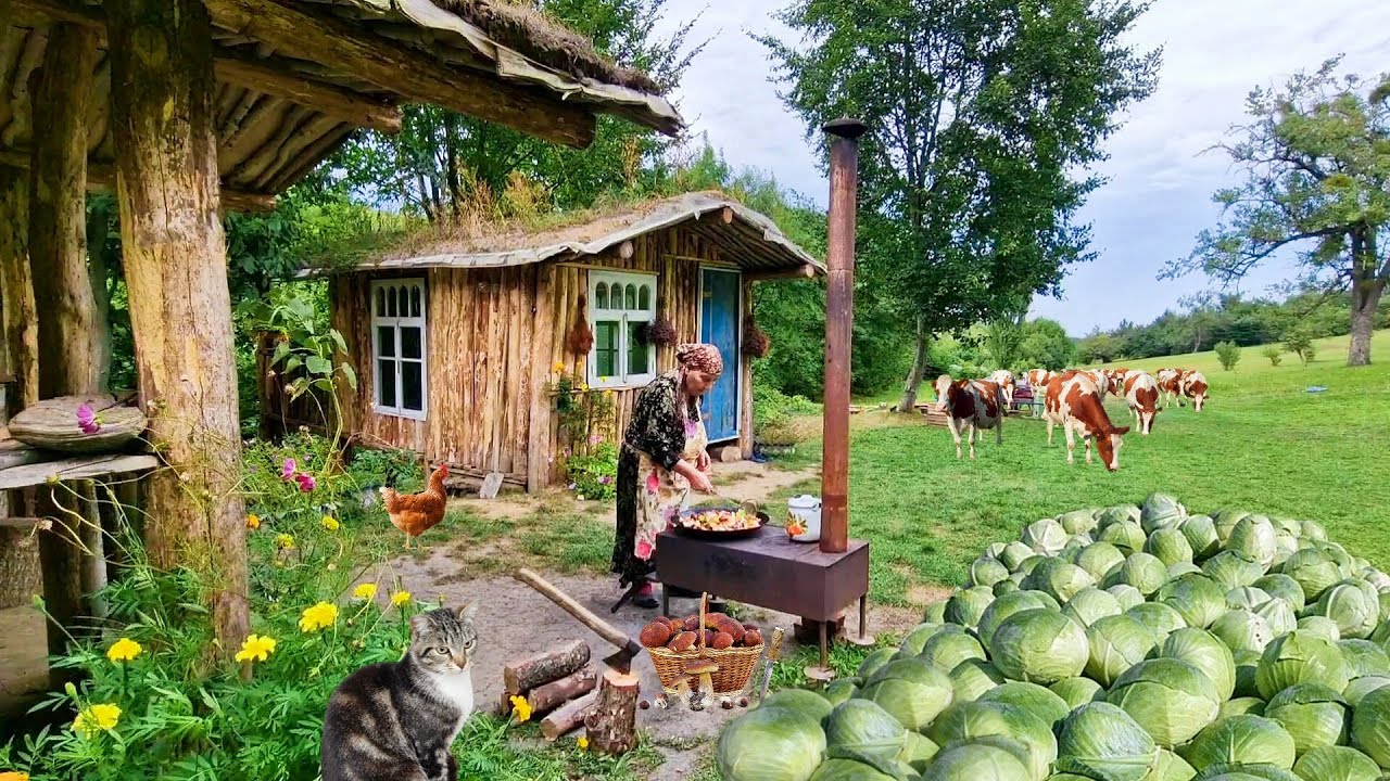 Фаршированная Капуста, Голубцы из Капусты. Плов с Курицей и Сухофруктами.