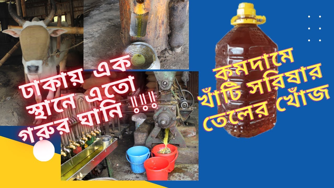 ঢাকায় কমদামে খাঁটি সরিষার তেলের খোঁজ (মেশিন বা গরুর ঘানি) I Cheapest Mustard Oil I Discount Lover