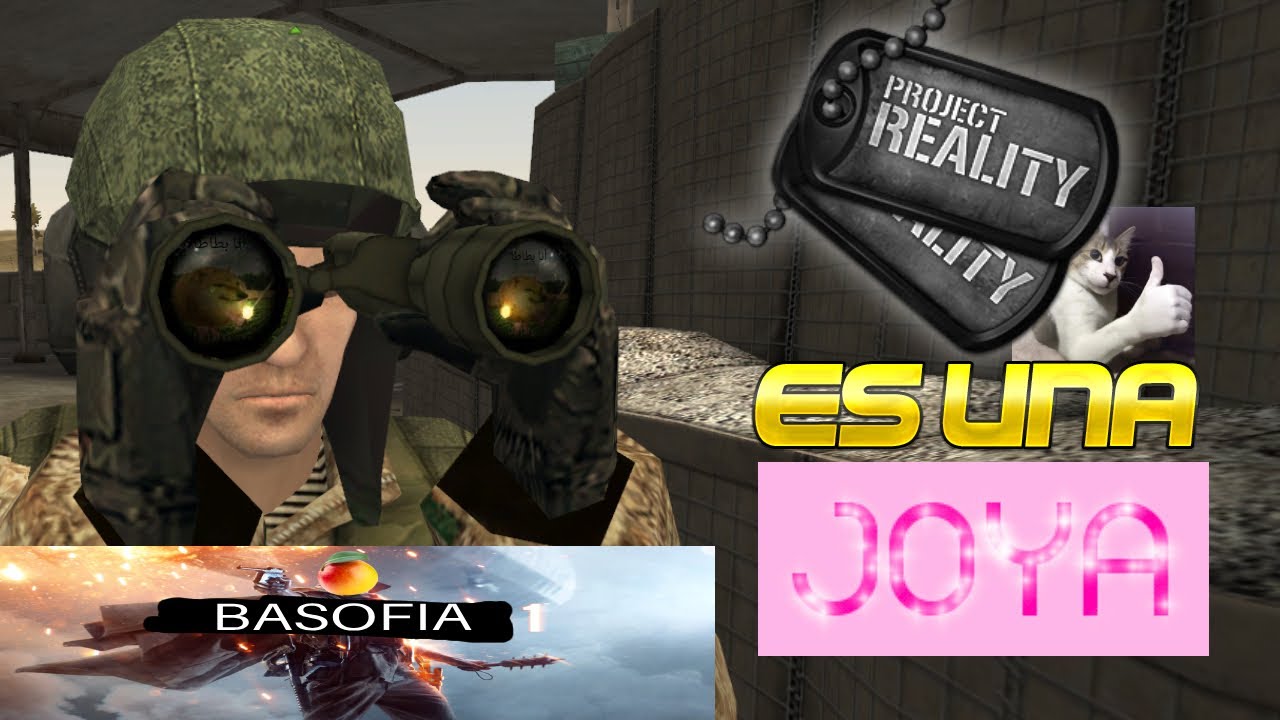 La VERDADERA experiencia MULTIJUGADOR - Project Reality