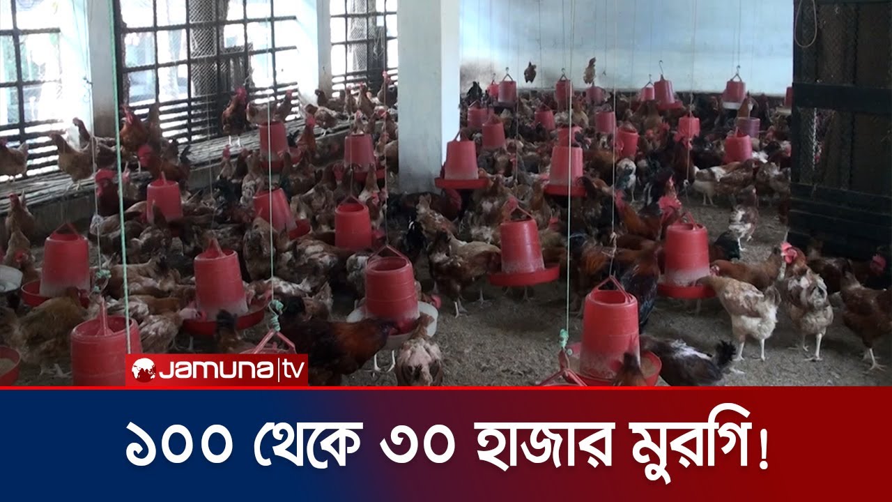 বাড়ির আঙ্গিনা থেকে জেলার অন্যতম বড় পোল্ট্রি খামার! | Satkhira Poultry | Jamuna TV