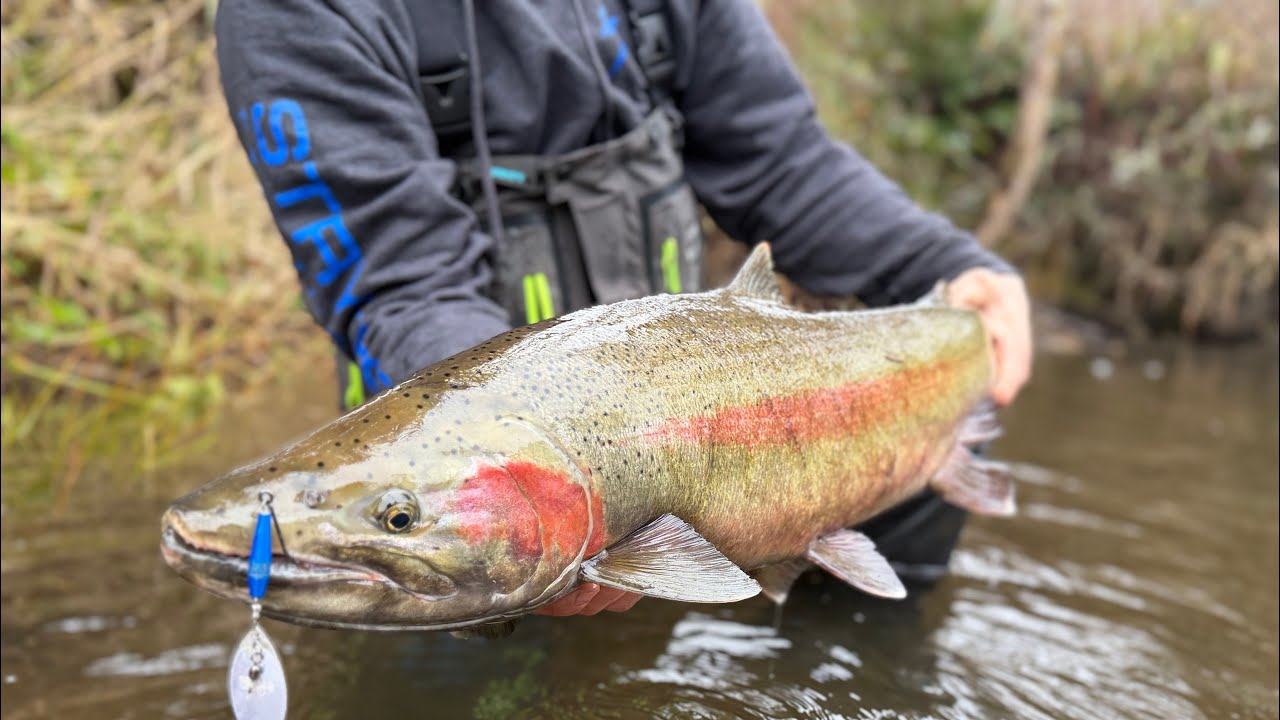 Top 3 techniques to catch winter steelhead (giant steelhead caught)