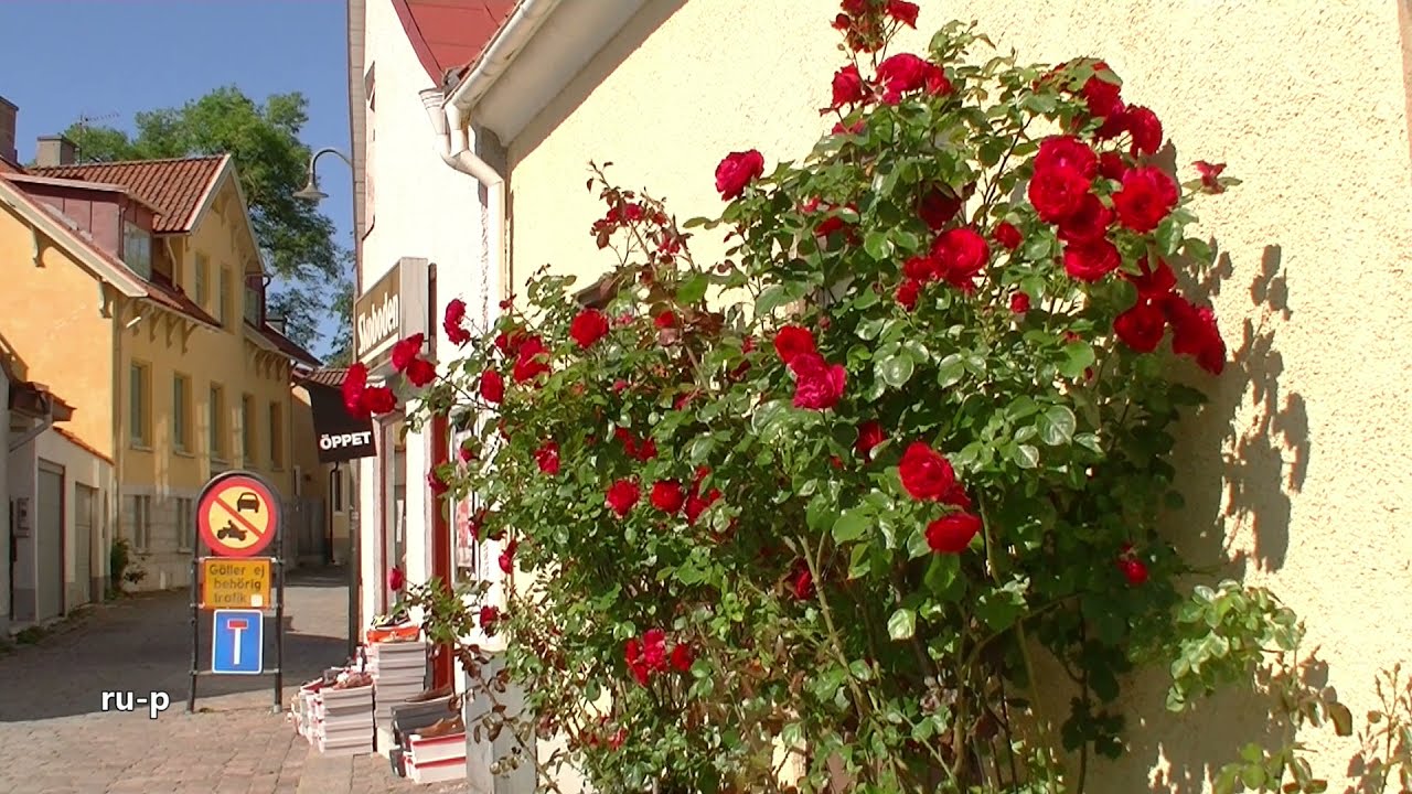 AIDAsol Ahoi Transreise (06): Visby - Westliches Gotland VBY01
