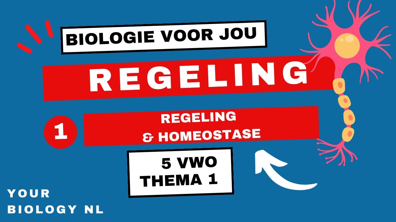 5 vwo | Regeling | 1 | Regeling & Homeostase