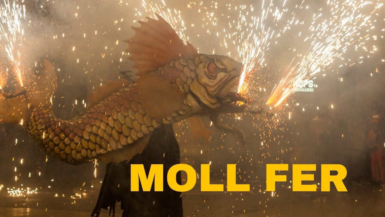 Moll fer, trobada de bestiari a Mollet del Vallés
