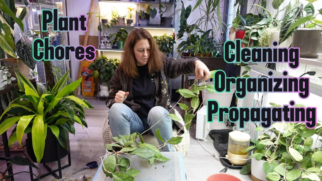 Long Plant Chores | February Plant room reset part 2