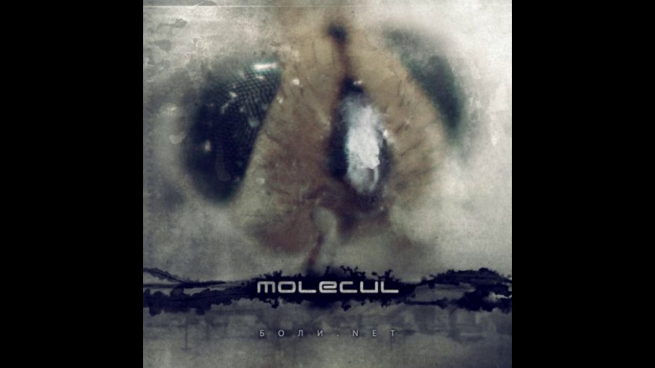(Nu-Metal / Electronic) MOLECUL - Небо В Меня