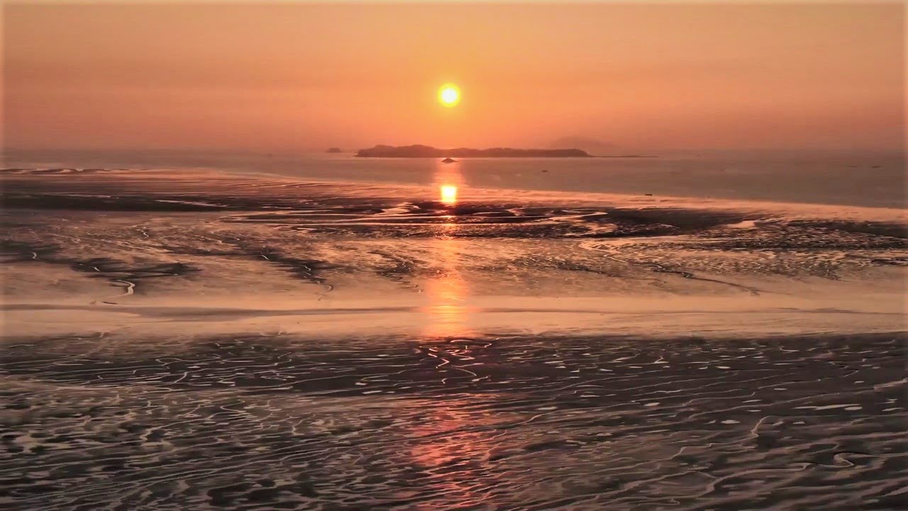 [UHD] 육지와 바다가 만나 빚어낸 산물 | 서남해안 갯벌(Getbol, Korean Tidal Flats) | KOREA