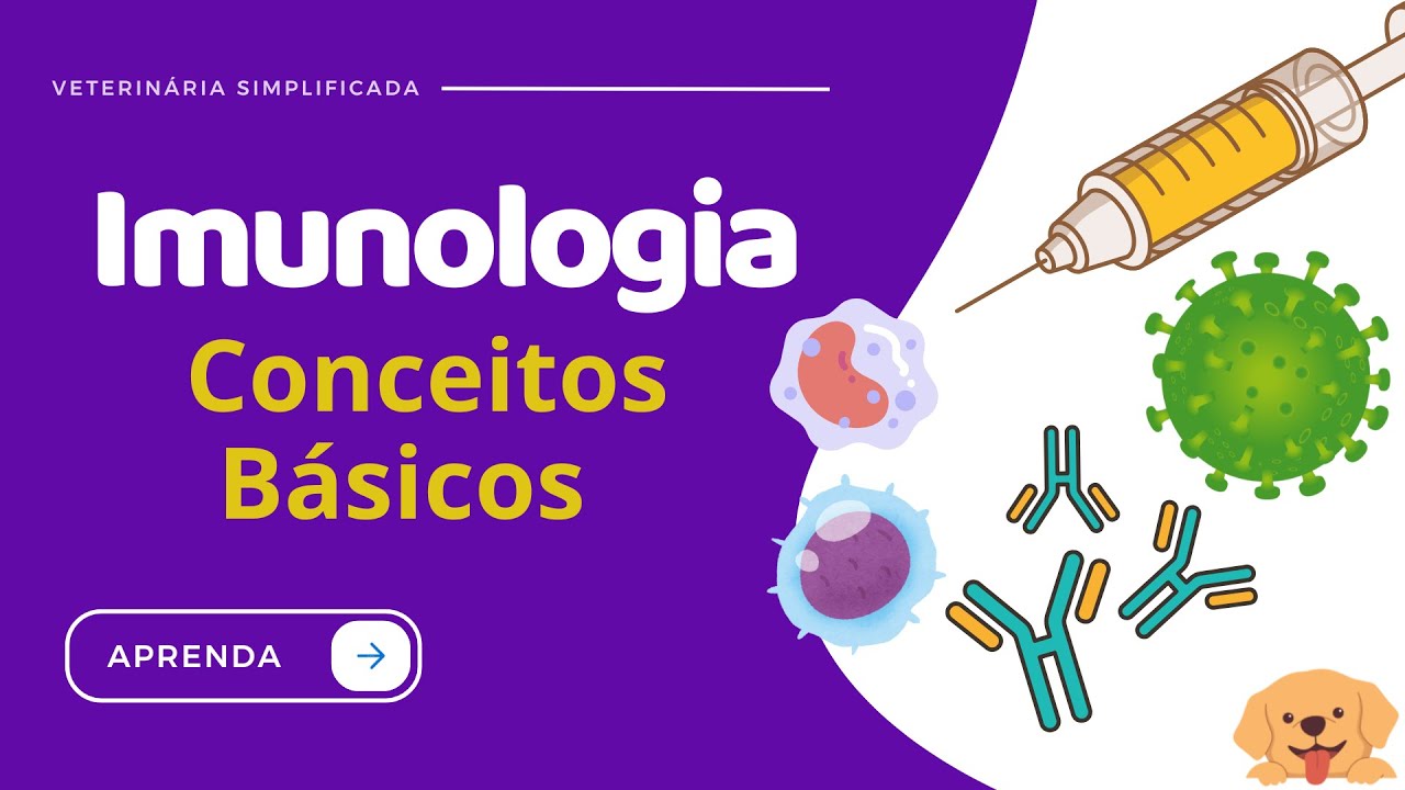 Imunologia | Conceitos Básicos