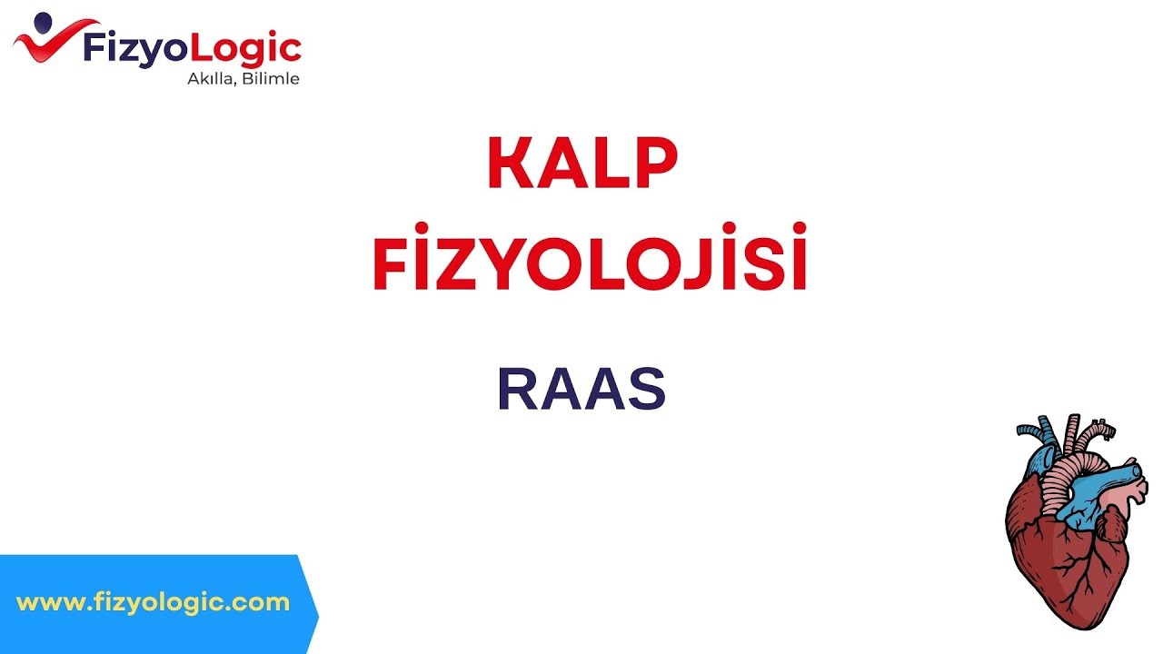 Fizyologic Kalp Fizyolojisi / RAAS