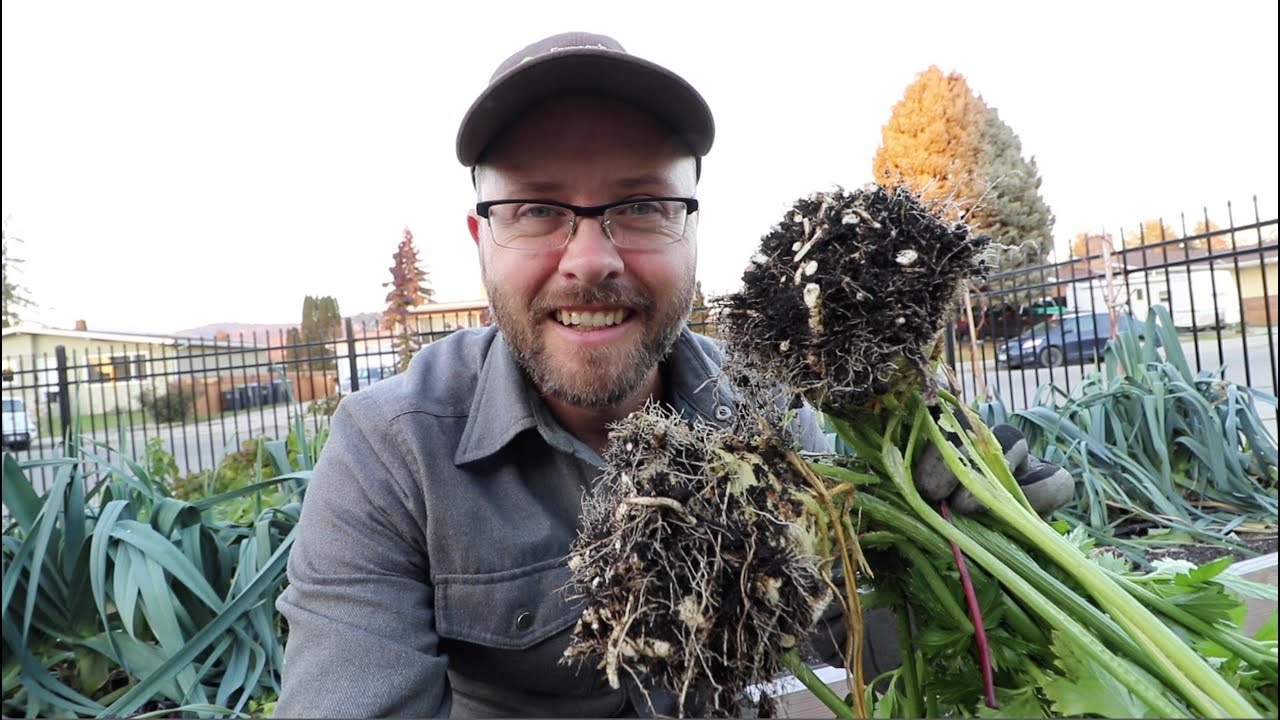 This storage crop is rocking my world!