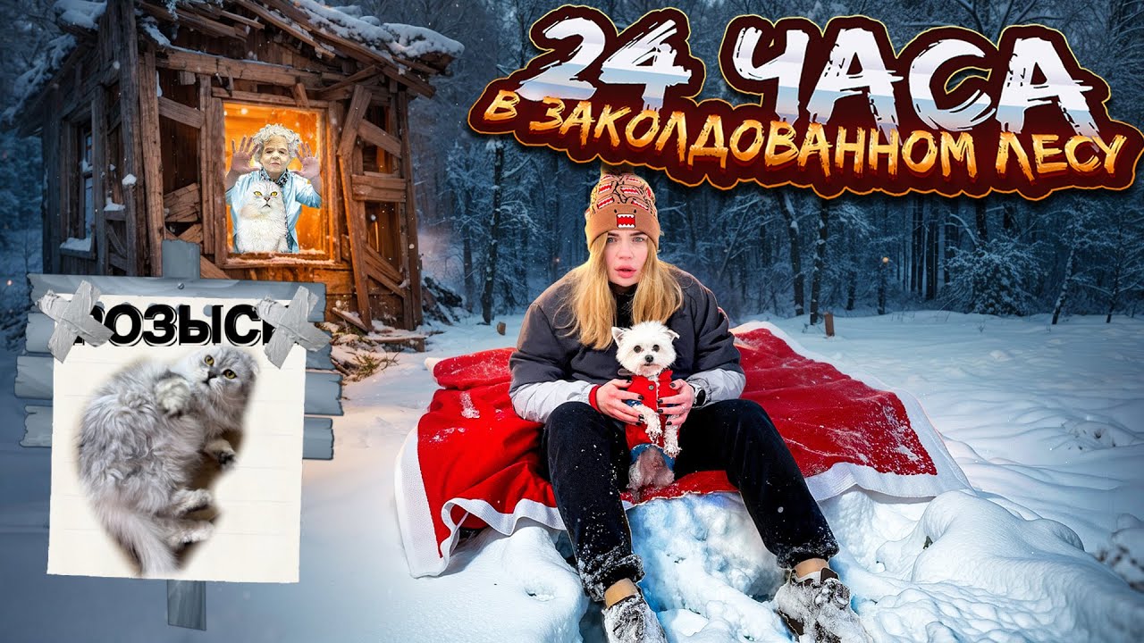 24 ЧАСА В ЗАКОЛДОВАННОМ СНЕЖНОМ ЛЕСУ ИЩЕМ КОТА КЕВИНА ПО СЛЕДАМ КЛАВЫ