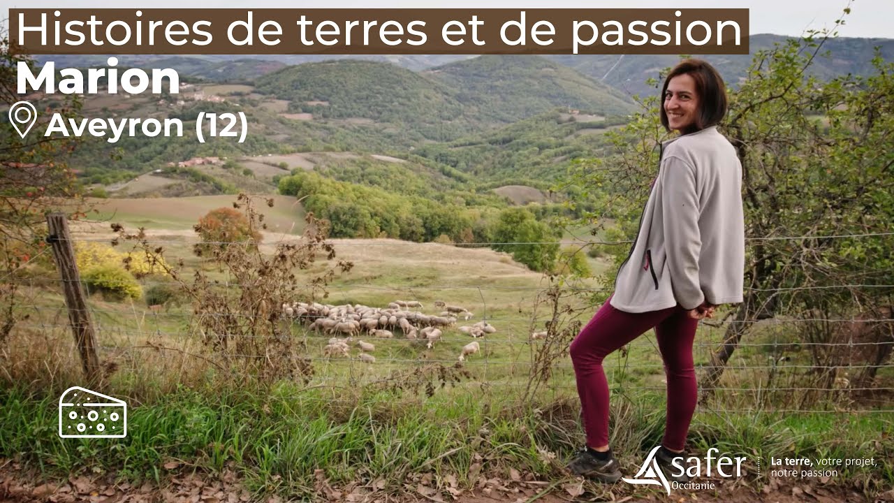 UN PEU DE SAFER DANS LE ROQUEFORT ? 🧀 Marion, productrice de lait de brebis dans l’Aveyron (12)