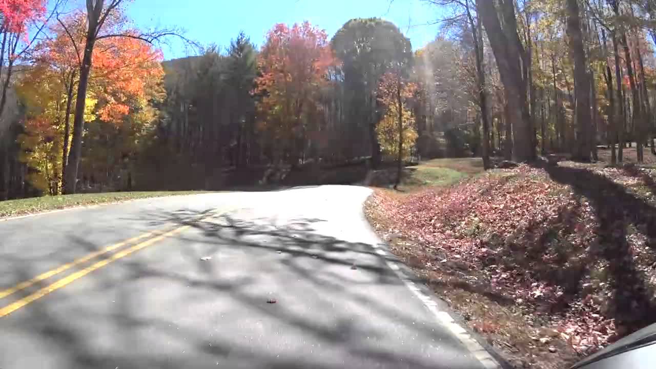 The Witch's Trick - A scary little road in North Carolina.