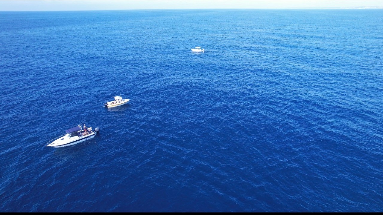 Fishing Newcastle Offshore | Trag & Flattys