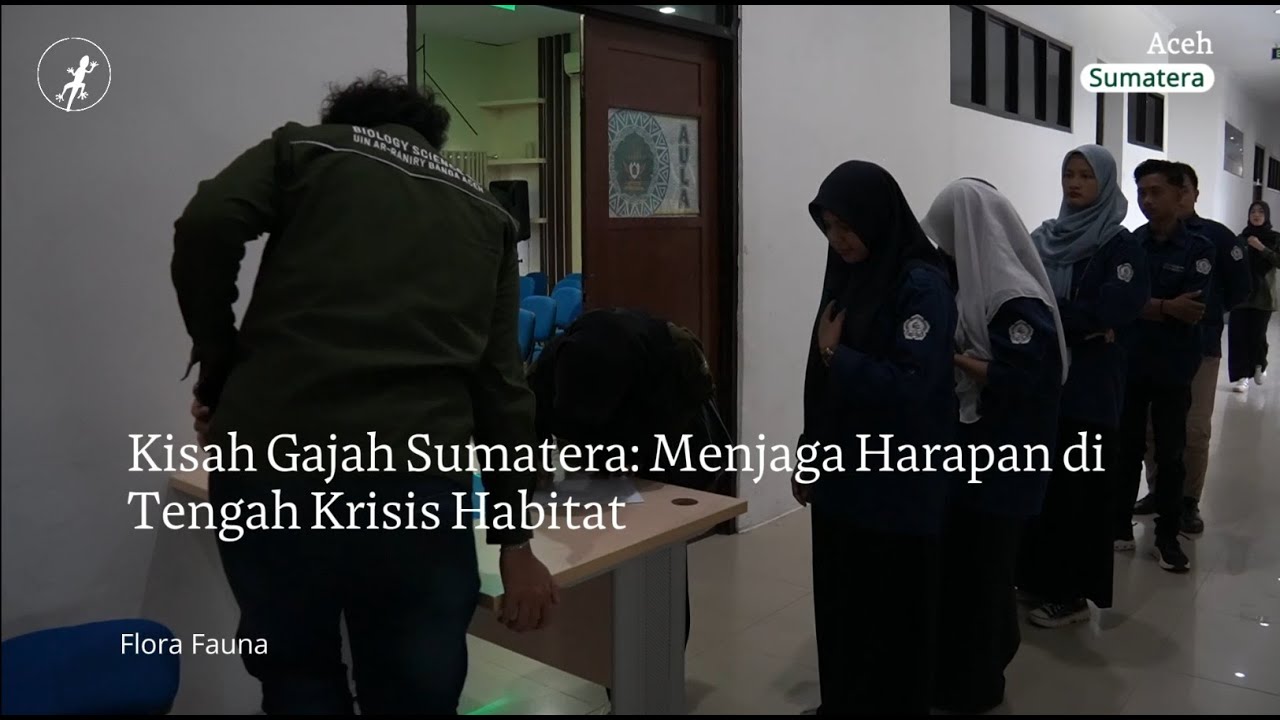 Kisah Gajah Sumatera: Menjaga Harapan di Tengah Krisis Habitat