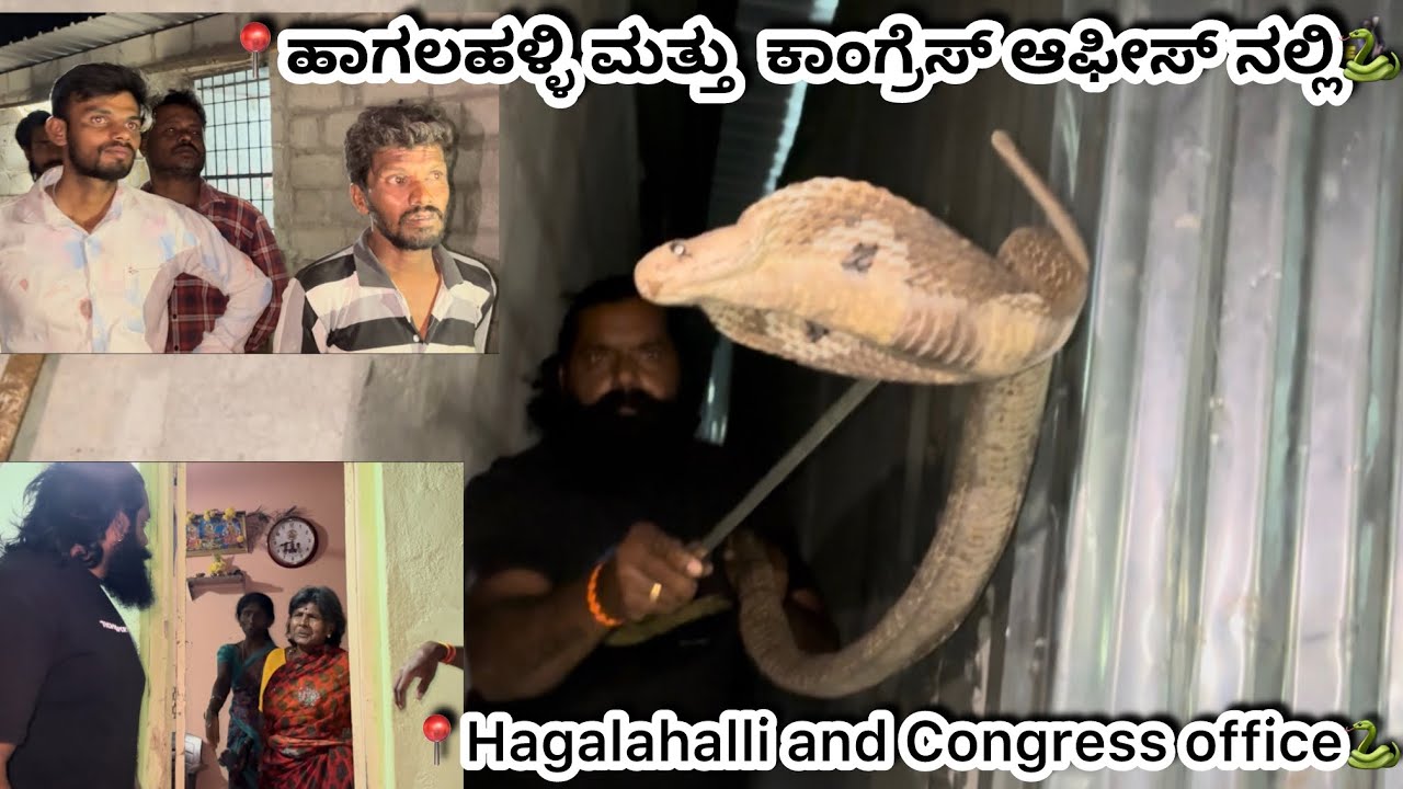 ಕೊಳಕು ಮಂಡಳ ಮತ್ತು ನಾಗರಹಾವಿನ ರಕ್ಷಣೆ snake rescue 