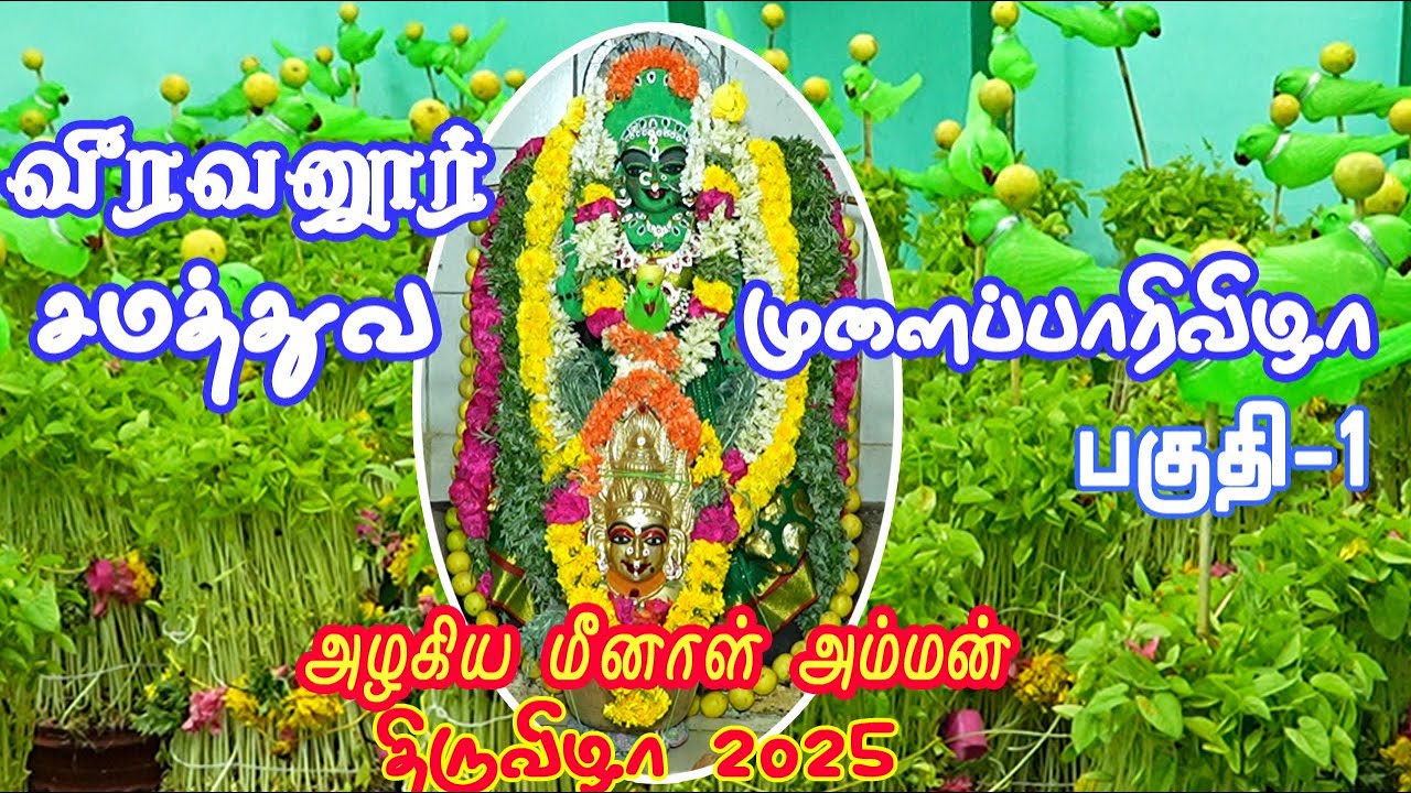 வீரவனூர் சமத்துவ முளைப்பாரி விழா 2025  / Veeravanur Equality Sprouting Festival 2025
