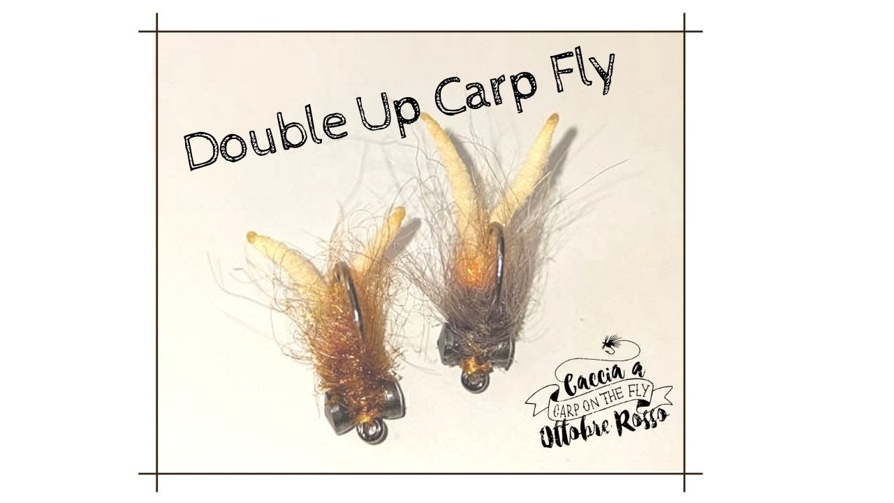 Double Up Carp Fly