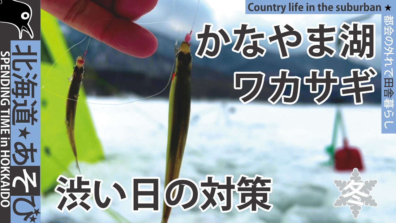 かなやま湖_ワカサギ釣り_喰いが渋い、アタリが少ない日の対策_アイスフィッシング