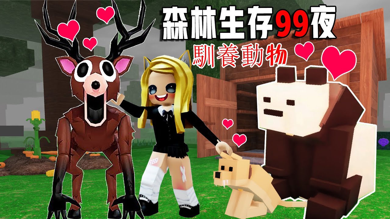 森林生存99夜：馴養動物，我最乖的動物朋友是？！……99 Nights in the Forest🔦  | ROBLOX