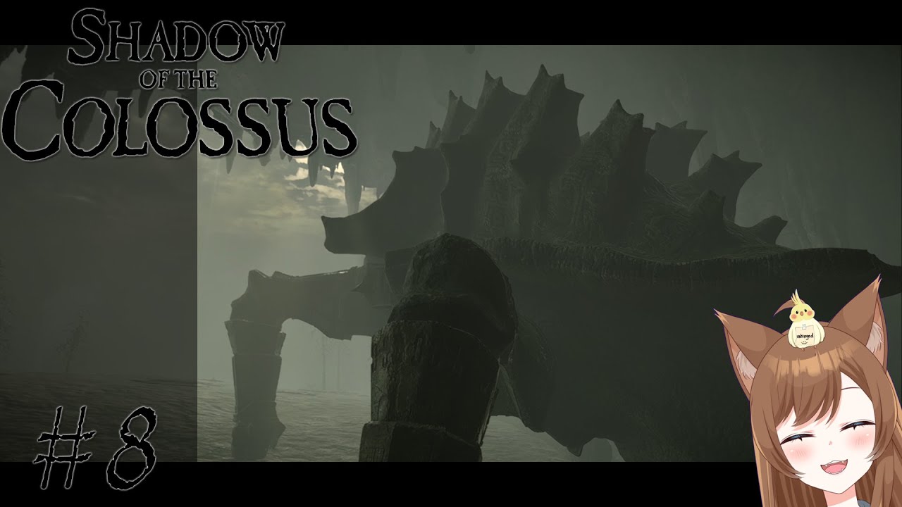 It's Turtle Time - Shadow of the Colossus - #8