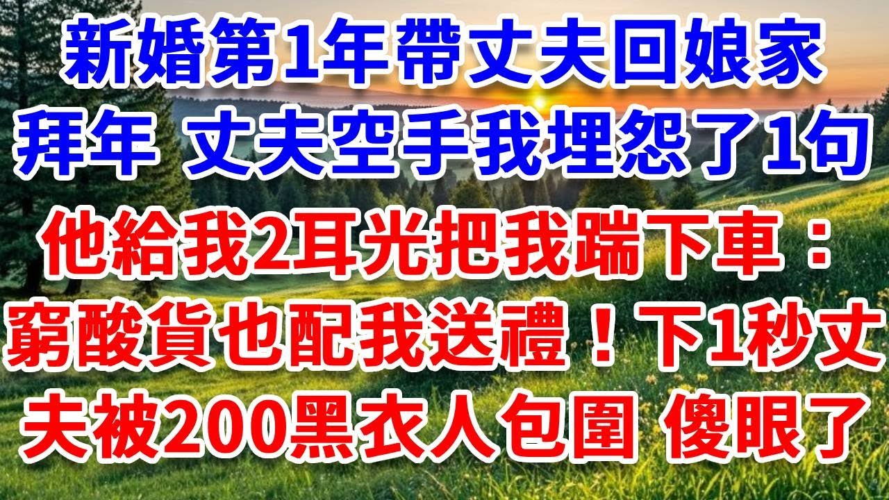 新婚第1年帶丈夫回娘家拜年，丈夫空手我埋怨了1句，他給我2耳光把我踹下車：窮酸貨也配我送禮！下一秒丈夫被200黑衣人包圍 丈夫傻眼！#詩涵講故事#為人處世#生活經驗#情感故事#晚年哲理#說故事#完結文