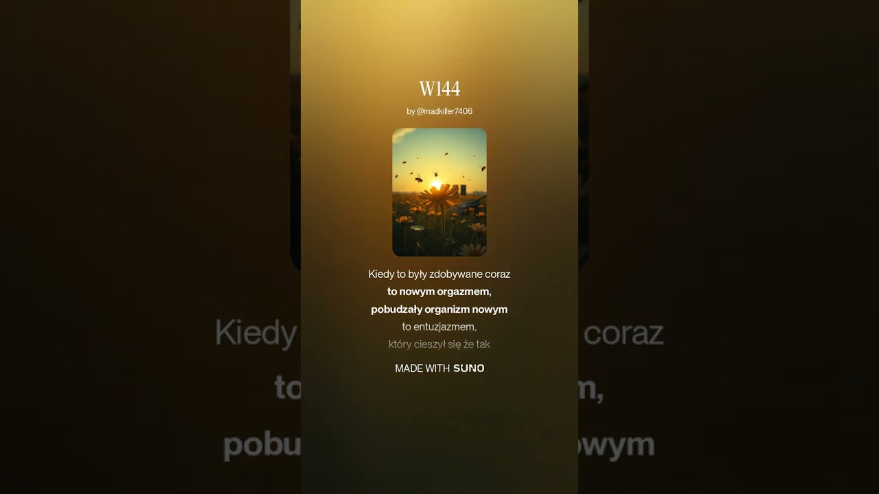 W144 52