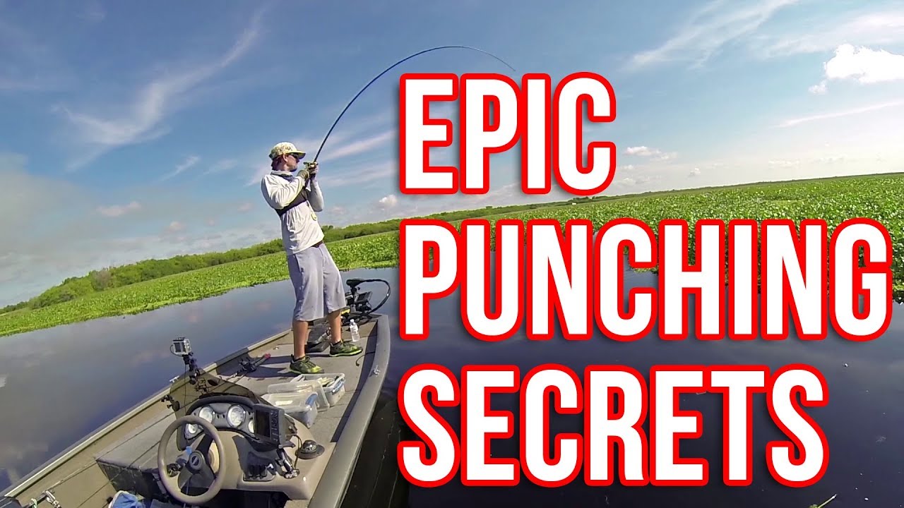 Punching for Bass EPIC Techniques and Tricks