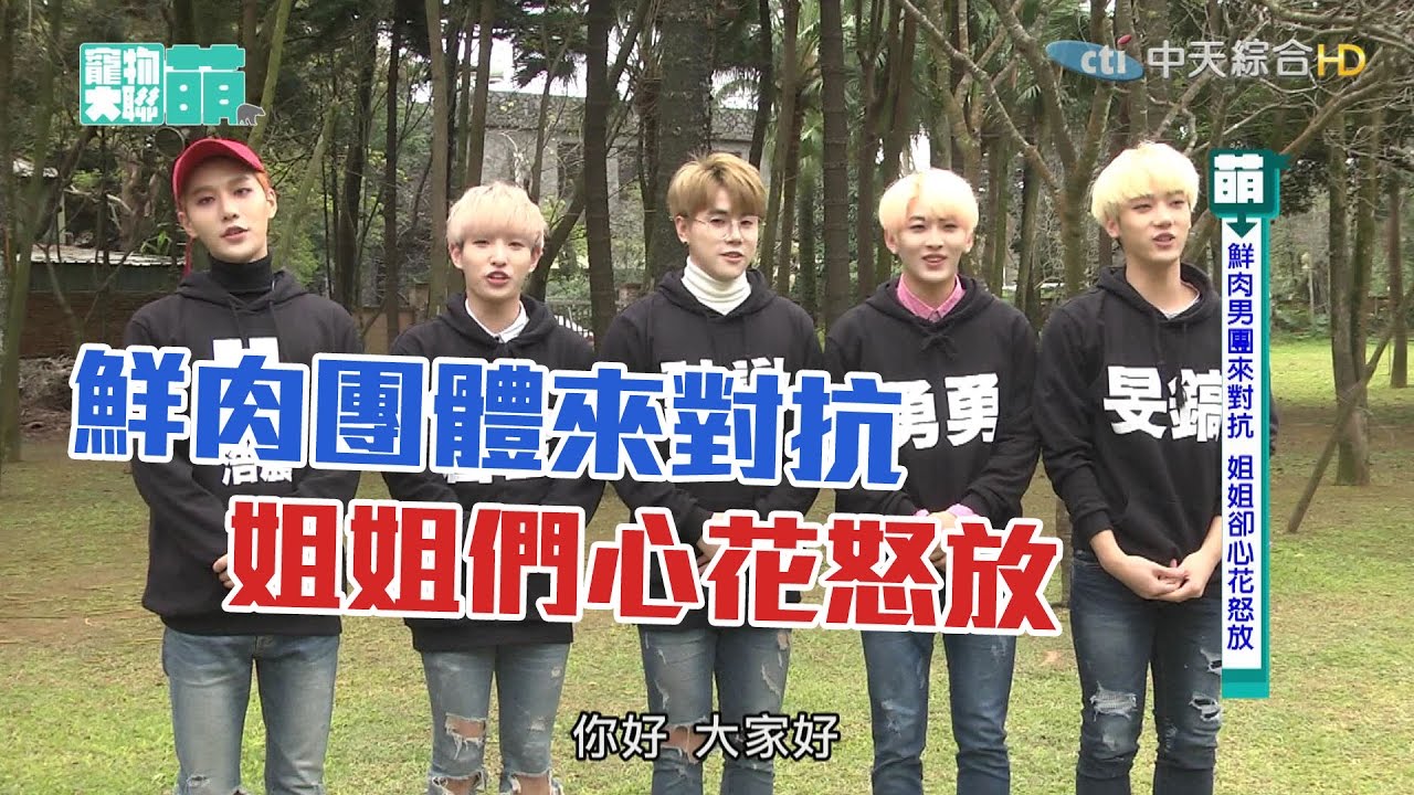 【寵物大聯萌#完整版】鮮肉團體來對抗　姐姐們心花怒放 2017.03.05