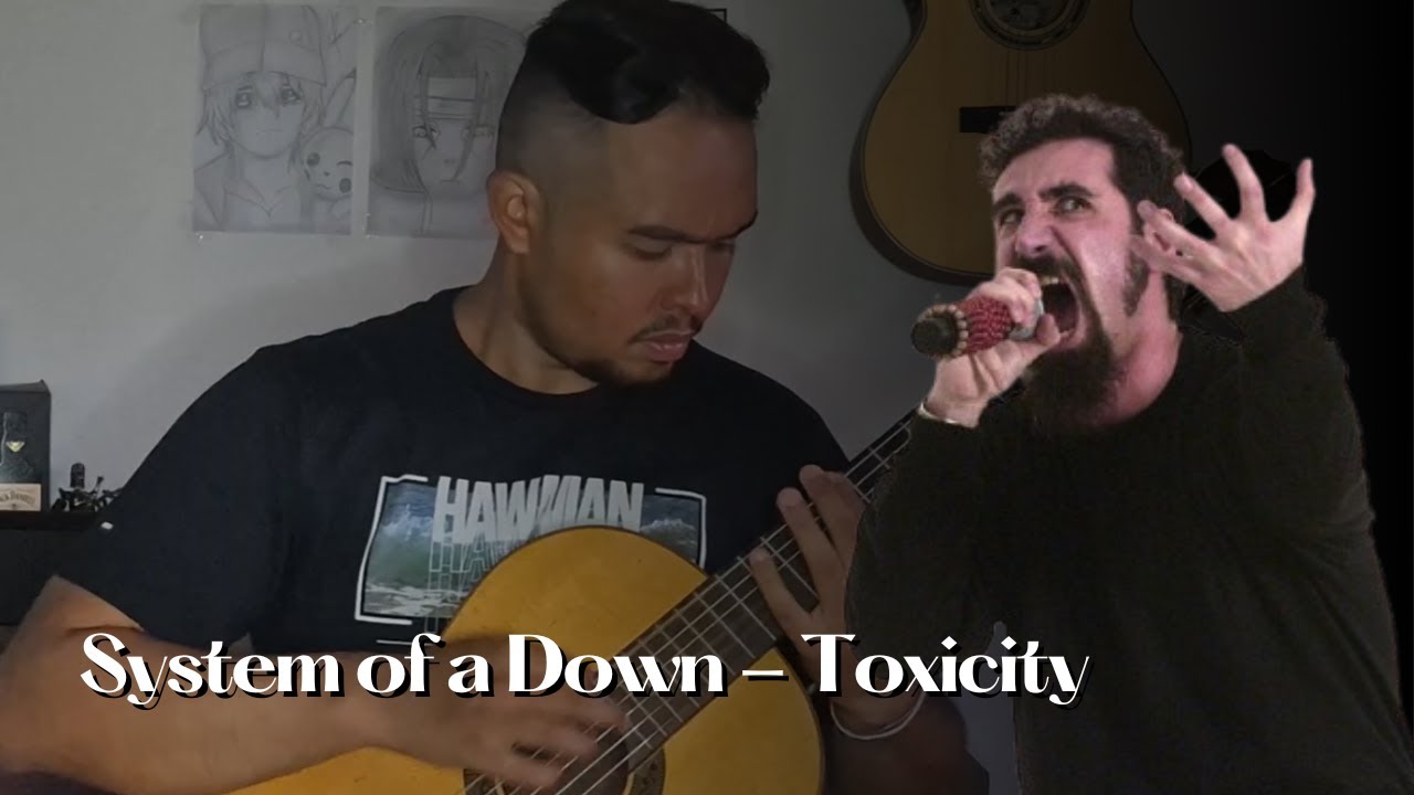 System Of A Down - Toxicity (Acoustic Cover)