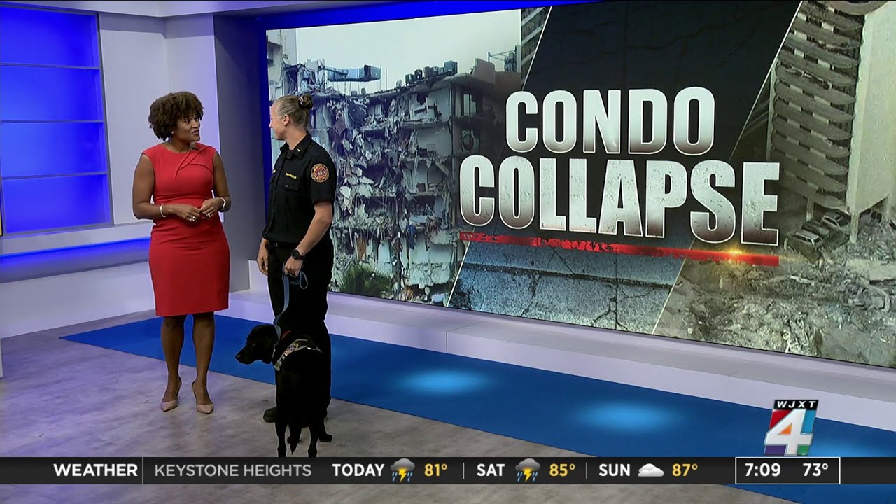 A Walk Through Of Typical Search And Rescue Efforts