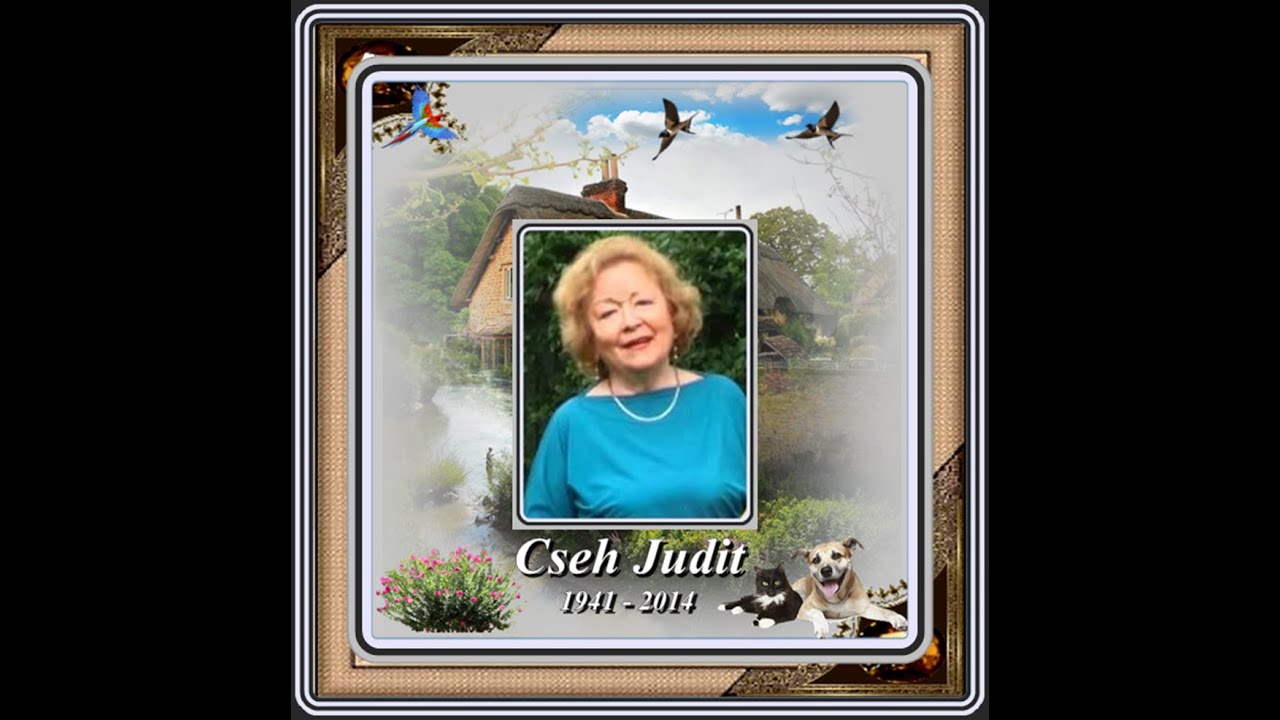 Cseh Judit : Minden ember aki csak él