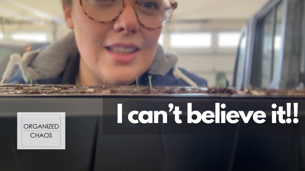 Can you believe it!? / Gardening / DIY / Get it All Done | Organized Chaos