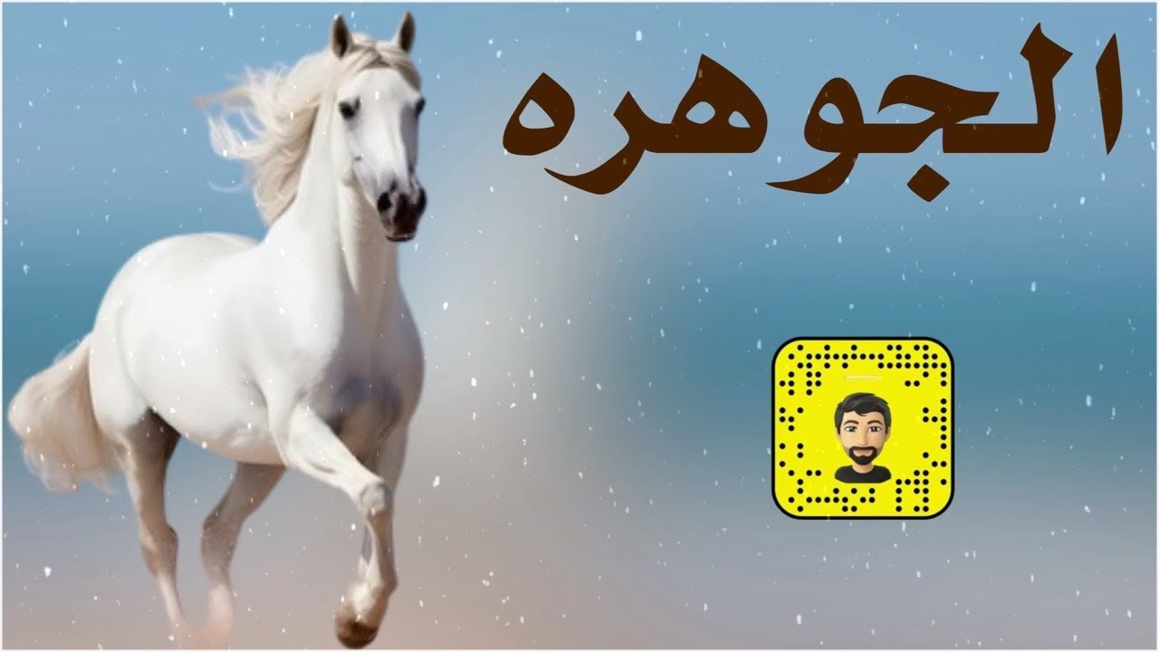 شيلة : الجوهره - سعد محسن ( حصرياً ) 2026
