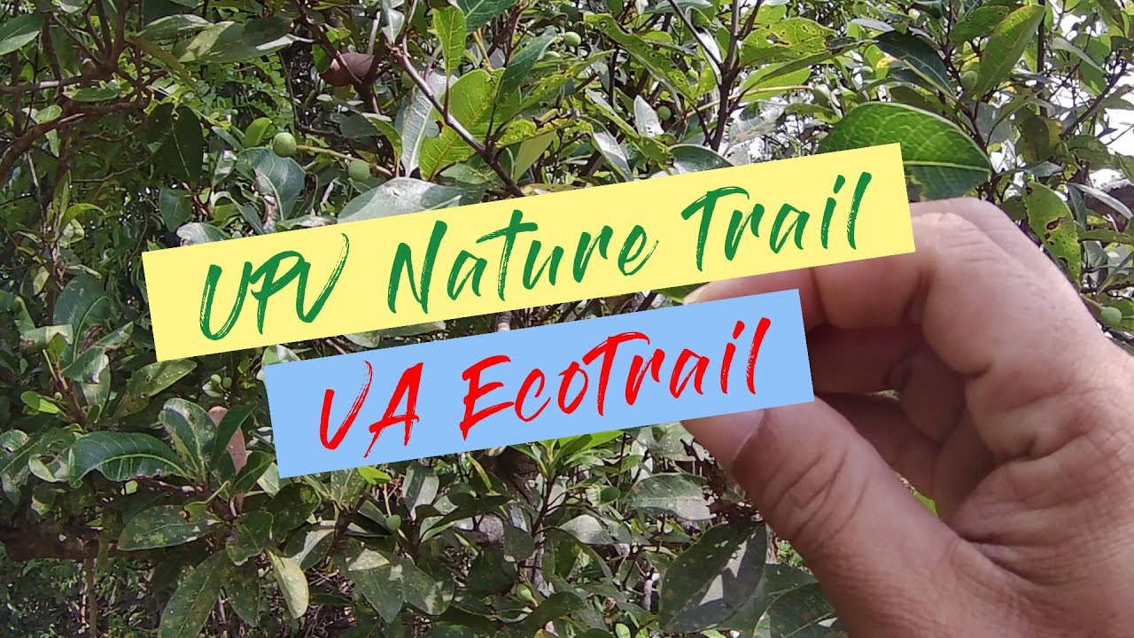 UPV Nature Trail & VA EcoTrail
