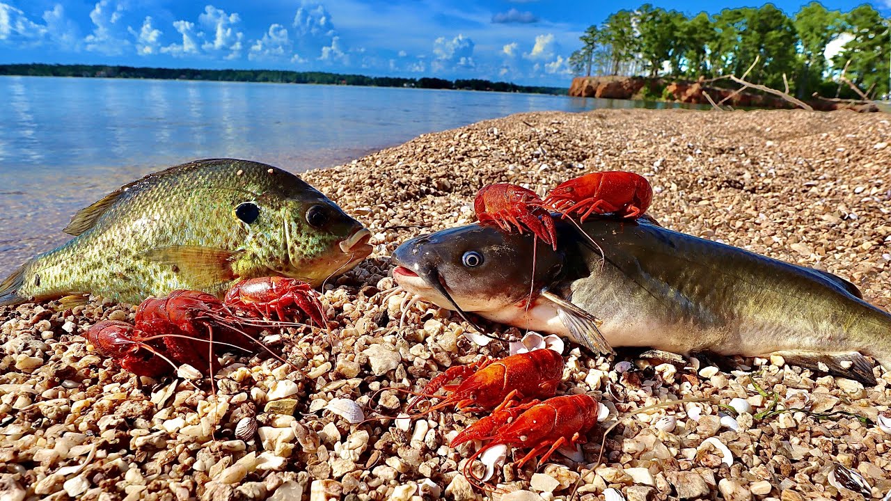 Lake Island Catch n’ Cook! Crawfishing + Underwater Fishing