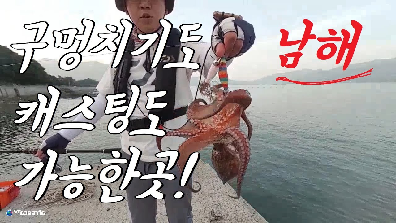 남해 한곳의 방파제에서 문어 마릿수!! 구멍치기는 못끊었습니다ㅋㅋ 남해 워킹 문어낚시 octopus fishing
