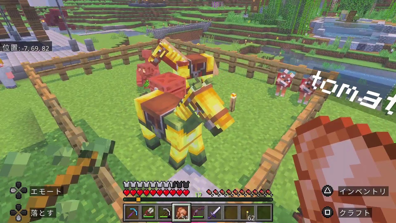 めっちゃ久々のマイクラ🤣(楽しむぅ)