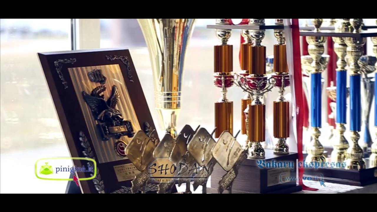Shodan &scaron;ventė 2016 /Shodan awards