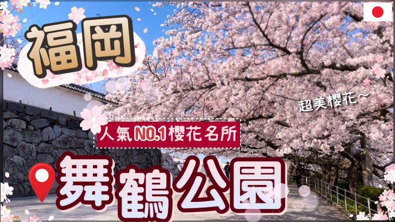 2024福岡賞櫻懶人包 | 福岡NO.1櫻花名所 | 浪漫粉色大道 |最新開花預測情報