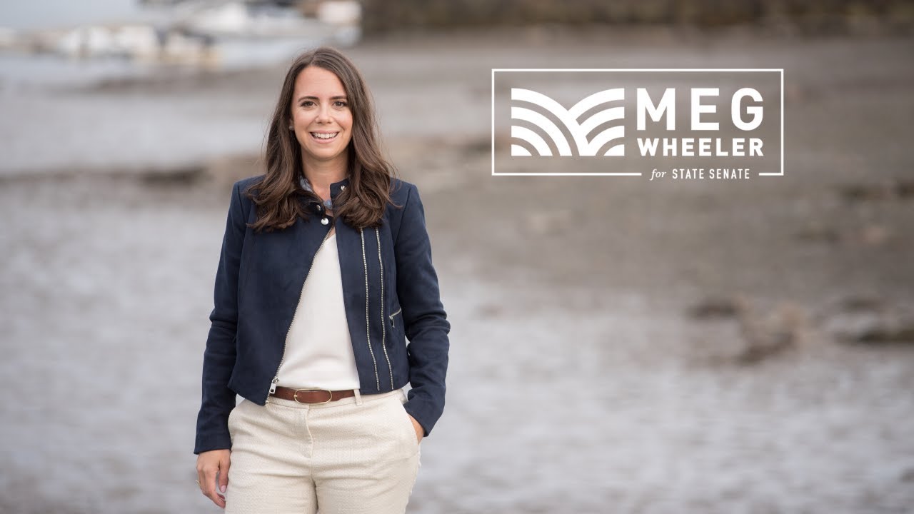 Meg Wheeler, Candidate for Massachusetts State Senate