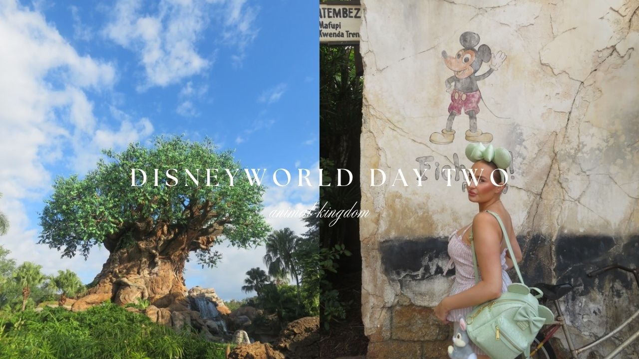 walt disney world day two | animal kingdom 🦒🌿☀️