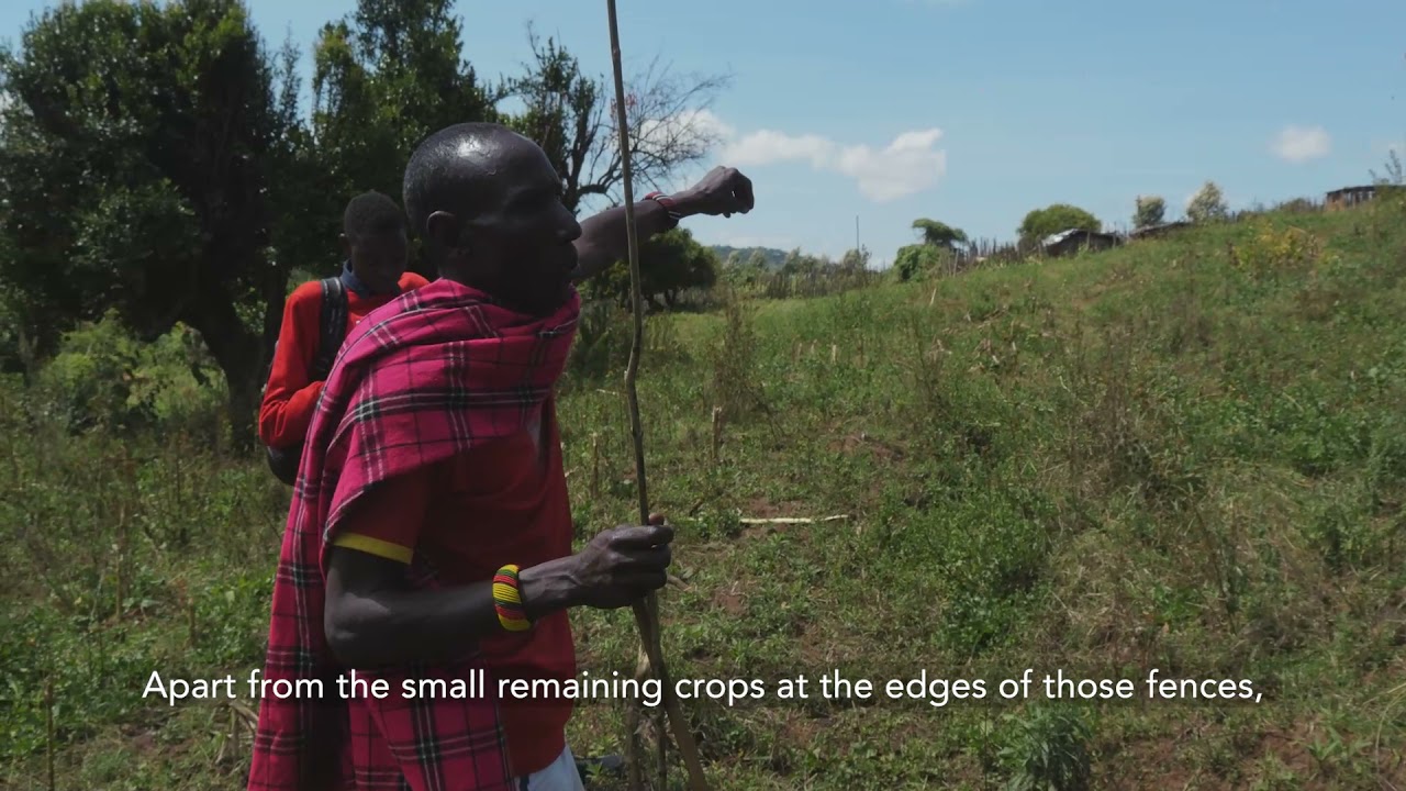 Human Elephant Conflict - The Maralal Story