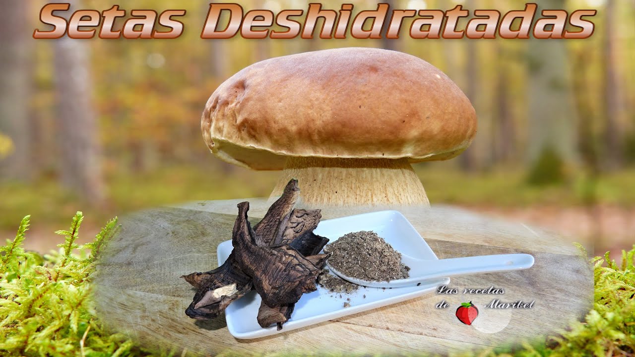 Setas Deshidratadas | C&oacute;mo Secar Setas