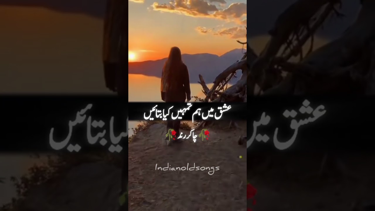 ❤indian old songs❤