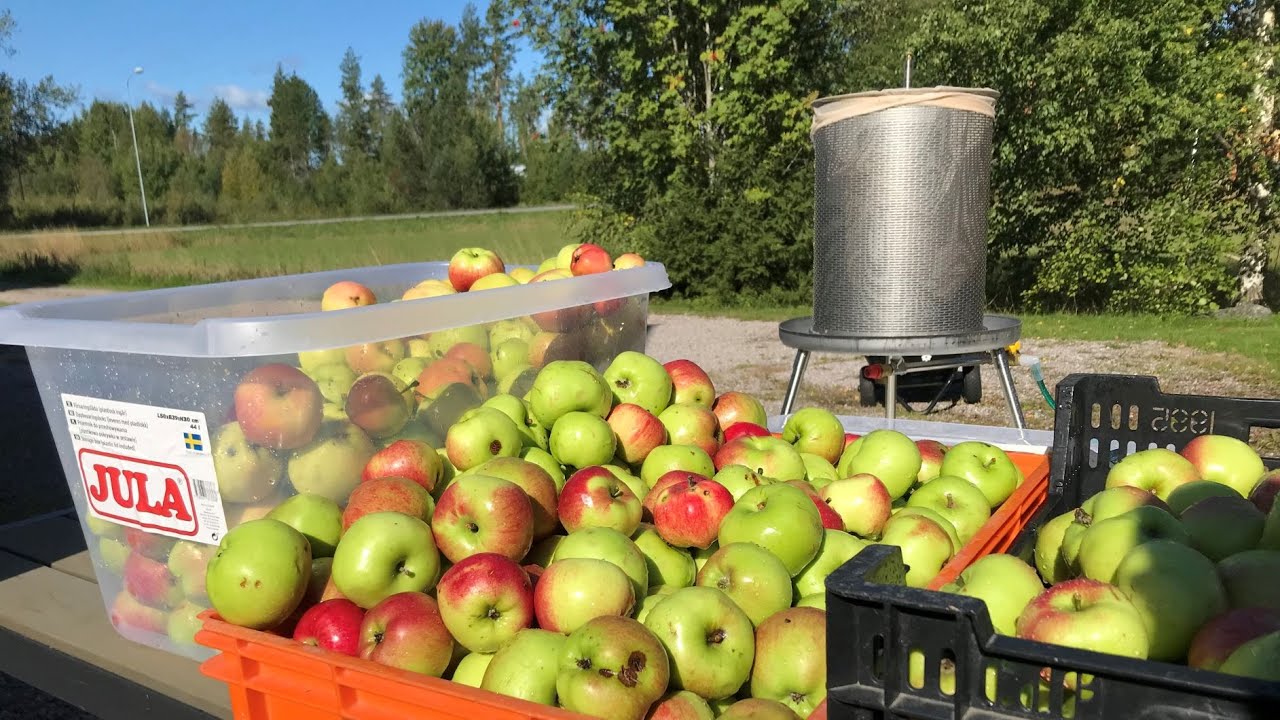 G&ouml;r egen &auml;ppelmust 2021