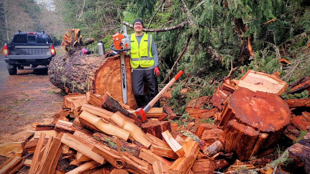 Returning to 'Big Doug' for Another Roadside Firewood Haul